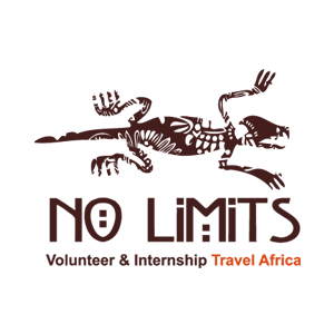 344-logos_no_limits_afrika