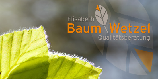 351-portfolio_teaser_baum_wetzel